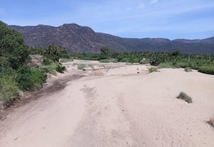 மூல வைகை ஆறு வறண்டதால் குடிநீர் உறை கிணறுகளுக்கு பாதிப்பு