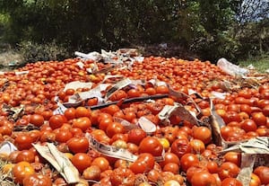 தக்காளிக்கு விலையில்லை; ரோட்டோரத்தில் குவிப்பு