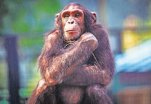 அறிவியல் துளிகள்