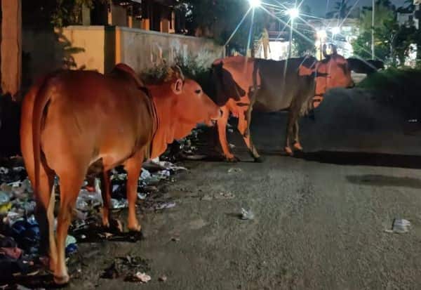 Latest Tamil News