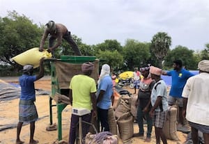  செயல்பாட்டிற்கு வந்தது நெல் கொள்முதல் நிலையம் விவசாயிகள் மகிழ்ச்சி