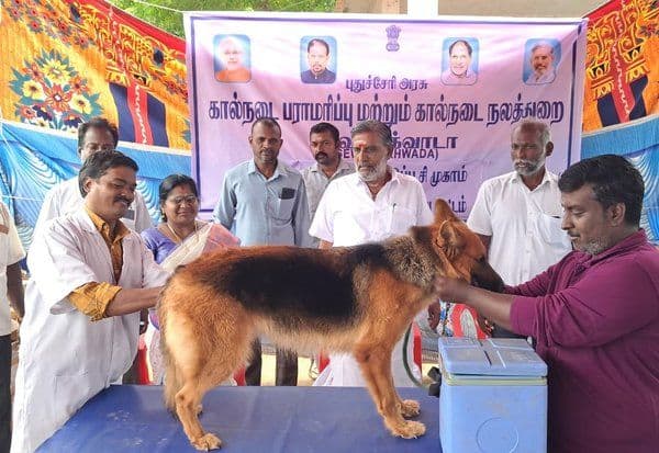 Latest Tamil News