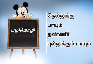  பழமொழி :  நெல்லுக்கு பாய்கிற தண்ணீர் புல்லுக்கும் பாயும். 