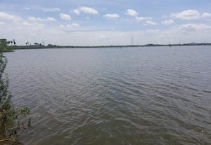 முழு கொள்ளளவை எட்டிய செருக்கனுார் ஏரி
