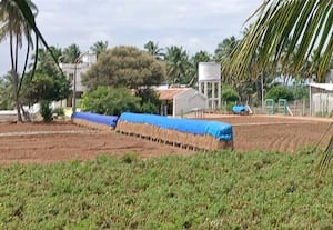 விலை உயர்வு கிடைக்குமா?