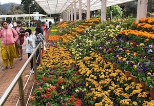 ஊட்டியில் இரண்டாம் சீசன் துவக்கம்; சுற்றுலா பயணிகள் வியப்பு