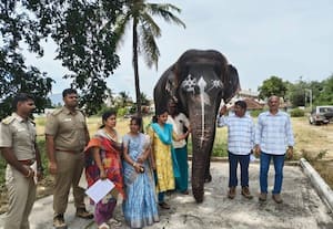 'கல்யாணி' நிறைய நடக்க வேண்டும்
