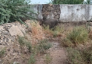 தடுப்பனைகள் பராமரிப்பு இன்றி உள்ளன