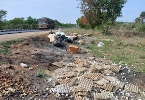 ரோட்டோரம் கொட்டப்படும் அழுகிய முட்டைகள்