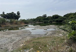 கழிவுநீர் தேக்கம், துார்வாராத வரத்து ஓடை, சேதமான மடை