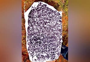 சோழர் ஆட்சி கல்வெட்டு ஆந்திராவில் கண்டெடுப்பு