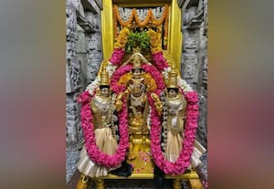 தரணிவராகர் கோவிலில் பிரம்மோத்சவம் துவக்கம்