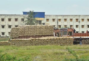 தற்காலிக திறந்தவெளி கிடங்கில் நெல் மூட்டைகள் சேமிப்பு தீவிரம்