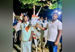 மாடுகளை பாதுகாக்க 'பேஷன் ஷோ' கர்நாடகாவில் புதிய முயற்சி