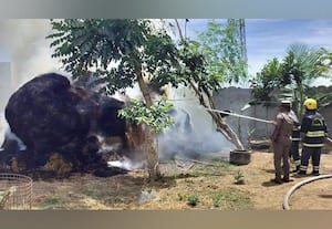 80 வைக்கோல் கட்டுகள் தீப்பற்றி எரிந்து சேதம்