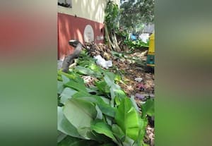 தசராவால் குப்பை அதிகரிப்பு சுற்றுப்புற சூழல் கடும் பாதிப்பு