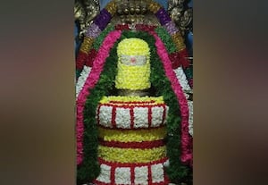 சனிப்பிரதோஷம்: சிவன் கோயில்களில் சிறப்பு வழிபாடு