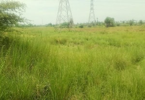 ஏரியை துார்வாரி சீரமைக்க விவசாயிகள் கோரிக்கை