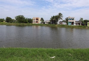 சிறுணை பெருகல் கிராம குளத்திற்கு தடுப்பு வேலி அமைக்க வலியுறுத்தல்