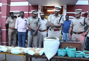 கஞ்சா கடத்திய ஒடிசா வாலிபர் உட்பட 27 பேர் கைது 42 கிலோ பறிமுதல்; கடலுார் போலீசார் அதிரடி