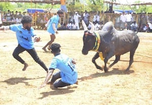 வடமாடு மஞ்சுவிரட்டு
