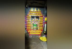 மீனாட்சி அம்மனுக்கு சிறப்பு அலங்காரம்  