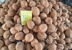 விற்பனை கூடத்தில் தேங்காய் ஏலம் கிலோ ரூ.67.50க்கு விற்பனை
