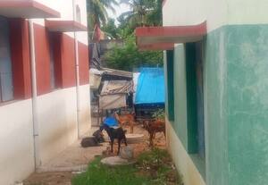 காஞ்சிபுரம்: புகார் பெட்டி;  ஆடுகள் கட்டும் இடமாக  மாறிய பள்ளி வளாகம் 