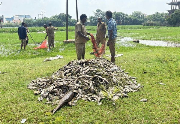 Latest Tamil News
