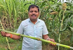  சோளத்தண்டில் இருந்து வெல்லம் தயாரிக்கும் விவசாயி