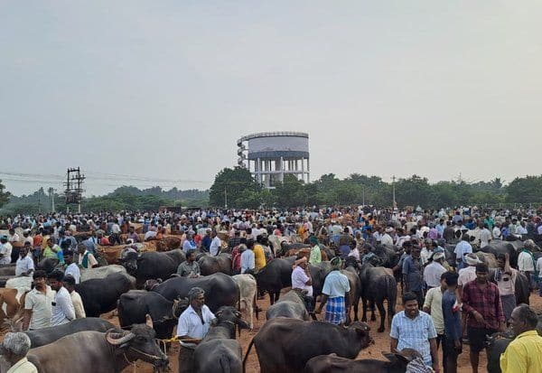 Latest Tamil News