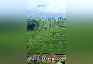 அணைகள் நீர்மட்டம்