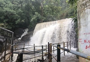 சுருளி அருவியில் வெள்ளப் பெருக்கு சுற்றுலா பயணிகள் குளிக்க தடை
