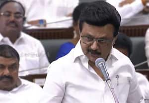 7 மணி நேரம் விஜய் தாமதமாக வந்ததே நெரிசலுக்கு காரணம்: சட்டசபையில் முதல்வர் ஸ்டாலின் பேச்சு