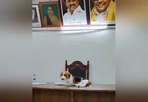 கடி தொல்லைக்கு நடவடிக்கை இல்லை நகராட்சிக்கு நாய் பொம்மை பரிசளிப்பு
