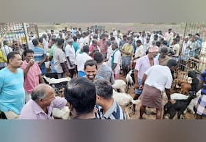 ரூ.2 கோடிக்கு ஆடுகள் ராமநாதபுரத்தில் விற்பனை
