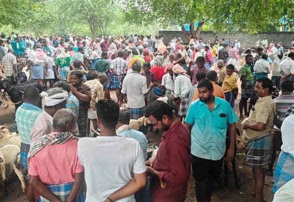 Latest Tamil News