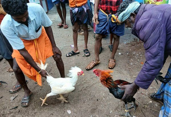 Latest Tamil News