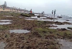  திருச்செந்துார் கடல் 100 அடி உள்வாங்கியது