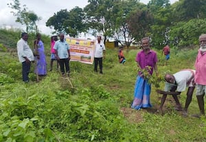 ஊராட்சியில் மரக்கன்றுகள் நடும் பணி துவங்கியது