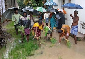 சாலையை சீரமைக்க கோரி நாற்று நடும் போராட்டம்