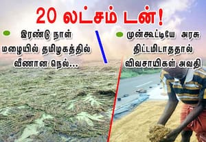 இரண்டு நாள் மழையால்  20 லட்சம் டன்! நெல் வீண்: விவசாயிகள் அவதி