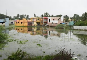 ஒரே நாள் பெய்த மழையில் கடலுார் மாவட்டம் வெள்ளக்காடானது! 30 ஆயிரம் ஏக்கர் நெற்பயிர்கள் தண்ணீரில் மூழ்கியது