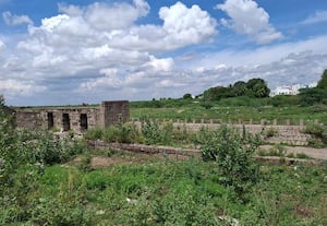 பலமிழந்த கரைகள், பராமரிப்பு இல்லாத மதகுகள்;  அருப்புக்கோட்டை பந்தல்குடி கண்மாயின் அவலம்