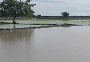 சோழந்துார் வயல்களில் தண்ணீர்