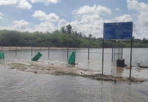 தடுப்பு சுவரின்றி மூழ்கியது ஊருணி ரூ.40 லட்சம் வீண்