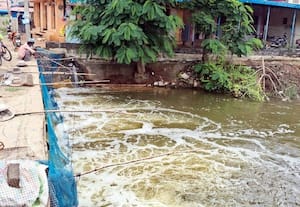 மீன்பிடி தளமாக மாறிய கடச்சனேந்தல் கண்மாய் தடைபடுகிறது மழைநீர் வரத்து