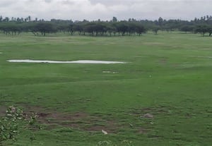 நீர் வரத்தின்றி குட்டையாகும் கலிக்கநாயக்கன்பட்டி குளம்