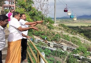 பழநி மலையில் துாவப்பட்ட விதைப்பந்துகள்