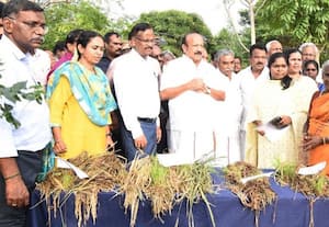 எதிர்க்கட்சியினர் பொய் சொல்றாங்க அமைச்சர் பன்னீர்செல்வம் புது விளக்கம்